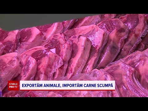 Video: Ce animal produce carne de vițel?