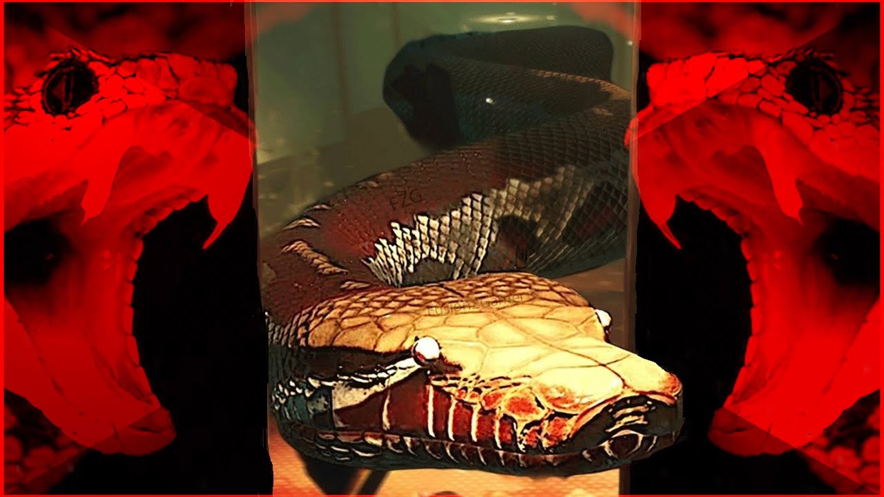 No Snakes, 99.99% Guaranteed! | No Snake Hotel | Horror Game