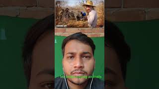 mr beast saving animals #wildliferescue #animals #shorts #mrbeast