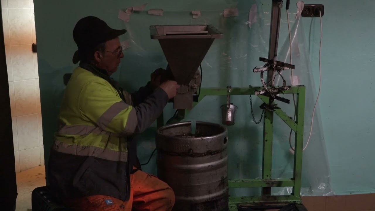 Aceituna arrugada, Da Aceite?