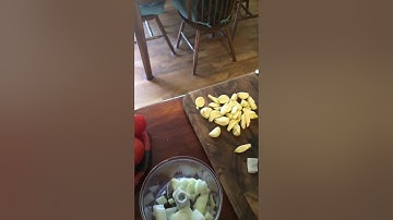 Pampered Chef Manual Food Processor Demo