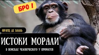 ИСТОКИ МОРАЛИ Франц де Вааль #документальное  #history #аудиокнига