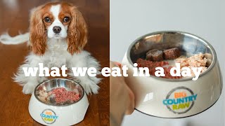 WHAT WE EAT IN A DAY | Raw Food Diet for Dogs