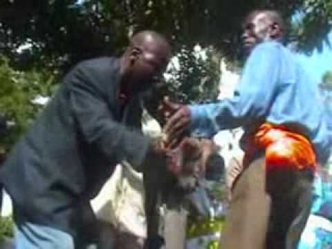 Twongweno Music - lapal cwinya and hellen mutona -...