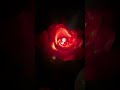 Ye kasi lagi aapko?? #newsong #love #glowbyriyaa #food #candlemaker #diy  #candlecraft #candle
