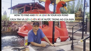 HOW TO FIND AND FIX A LEAK IN YOUR KOI POND / CÁCH TÌM VÀ SỬA CHỮA RÒ RỈ NƯỚC TRONG AO CỦA BẠN.