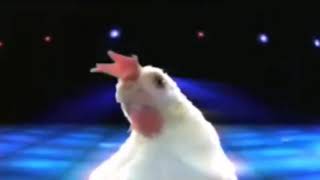 REVERSED Chicken song Backward 🐔🐔enjoy it