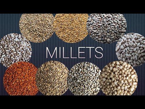 Video: Cum să crești Milets (cu imagini)