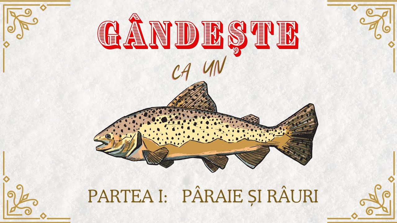 UNDE stau peștii (Pâraie și râuri)