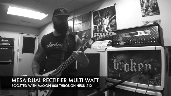 MESA DUAL RECTIFIER MULTI WATT REBORN HEAD,JACKSON KVMG PRO SERIES / HESU 212/MAXON 808 METAL REVIEW