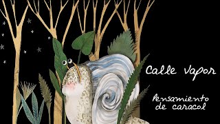 CALLE VAPOR - PENSAMIENTO DE CARACOL