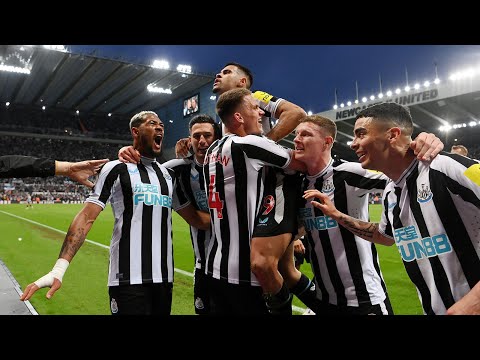 Newcastle United 4 Brighton and Hove Albion 1 | EXTENDED Premier League Highlights