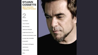 Video thumbnail of "Sylvain Cossette - Pas besoin de frapper"