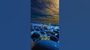 آية: 28-29 من سورة الرعد بصوت القارئ الشيخ محمد المنشاوي
