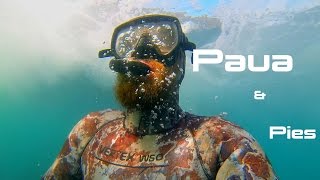 Freediving Crayfish Camping Fishing and Hunting Adventure in New Zealand with Josh James & friends