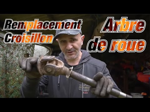 Vidéo: Que faut-il pour reconstruire une transmission ?