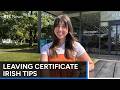 Leaving Cert Irish Paper 1 study tips | RTÉ News