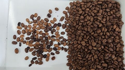 Topsort super mini roasted coffee bean color sorter