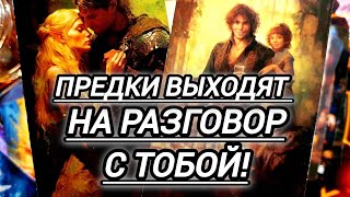 💥ЧТО ПРЕДКИ ПЫТАЮТСЯ СКАЗАТЬ 🔥Вам Прямо сейчас❗#таро #tarot 