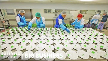 How Emirates Makes 225,000 In-Flight Meals A Day