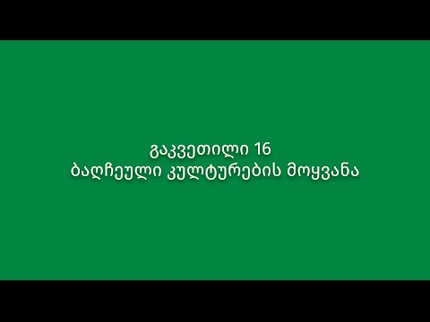 გაკვეთილი 16. ბაღჩეული კულტურების მოყვანა
