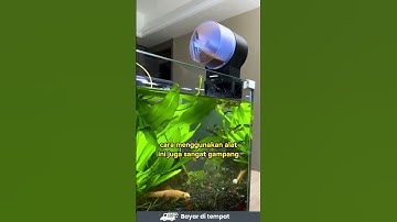 Fish Disher | Pemberi Makanan Ikan Otomatis