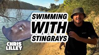 Swimming With Stingrays