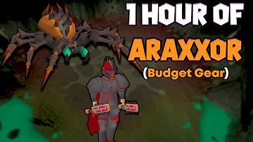 1 Hour of Araxxor Budget Gear (OSRS Araxxor Examples)