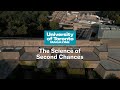 The Science Of Second Chances U Of T Magazine The Science Of Second Chances U Of T Magazine
