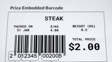 Embedded (Dynamic) Barcode Scanning