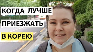 КОГДА СТОИТ ПРИЕЗЖАТЬ В КОРЕЮ  ПОГОДА В ЮЖНОЙ КОРЕЕ