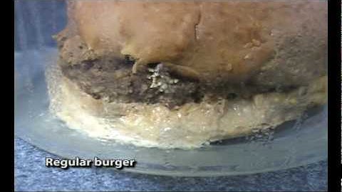 Super Size Me - The Smoking Fry