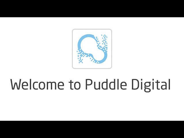 Welcome to Puddle Digital