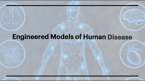 Nature Conference: Engineered Models of Human Disease