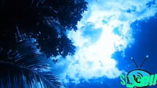 Download Lagu sasak rajamndala (cover) MP3