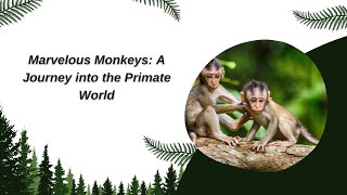 Marvelous Monkeys: A Journey into the Primate World | Fun & Cool facts about Monkeys for Children!
