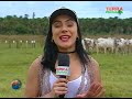 TERRA PECUÁRIA - Edição 17/06/2018