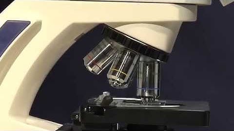 Microscope