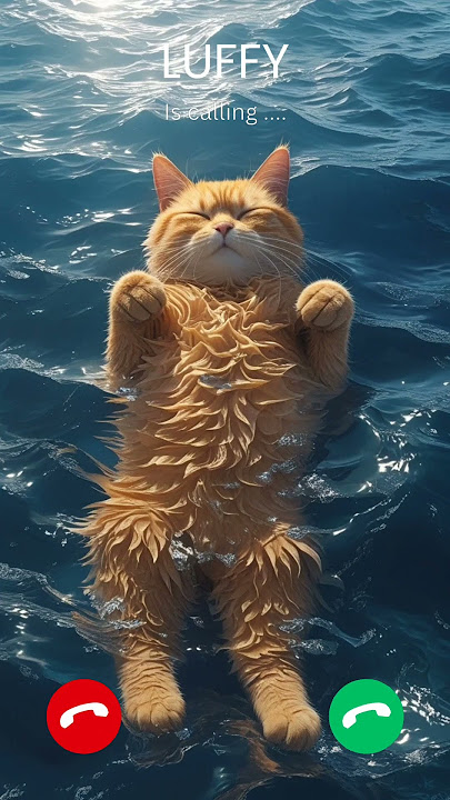 luffy is calling #cat #ringtone #catlovers #ocean #viralvideo