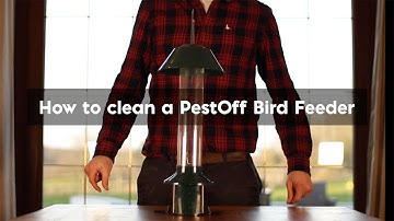 How to Clean Your Roamwild PestOff Bird Feeder