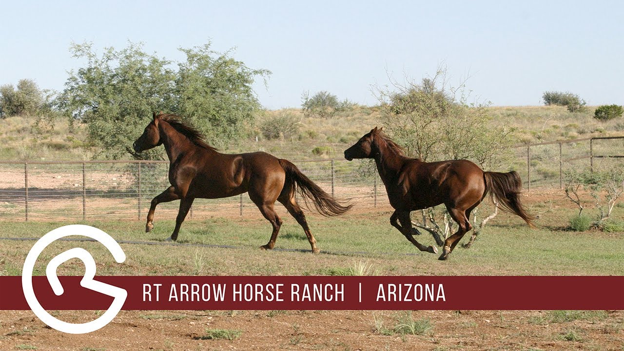 Arizona ranches for sale RT Arrow Horse Ranch Mason & Morse Ranch Company YouTube