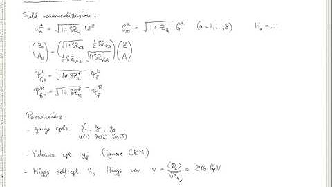 Ayres Frietas Lecture 2 on The Standard Model of Particles Physics incl precision EW