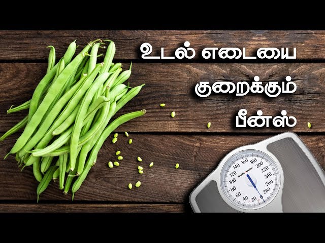 அடிக்கடி பீன்ஸ் சாப்பிட்டா உடல் எடையை குறைக்கலாம் | Weight loss with Beans | Health Tips in Tamil