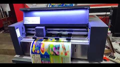 Vulcan SC-350 Digital Sheet Kiss Die Cutter Plotter with Servo Motor and CCD Camera