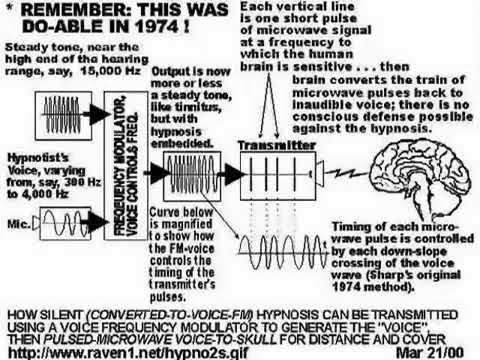 in sound mind switch