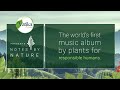Notes by nature  the worlds first music album by plants for responsible humans  vatika naturals