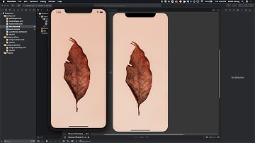 How To Set Background in iOS [Swift]