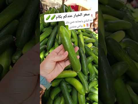 ده البلدي ياجماعه خدي بالك وانتي بتشتري اكسبلور فكرتين افكارينو كيك الرسوم تيك توك 