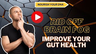 How To Improve Gut Health & Rid Off Brain Fog