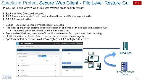 IBM Spectrum Protect v8.1.9 File Restore Web Gui - Demo